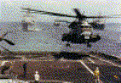 helo.gif (134546 bytes)